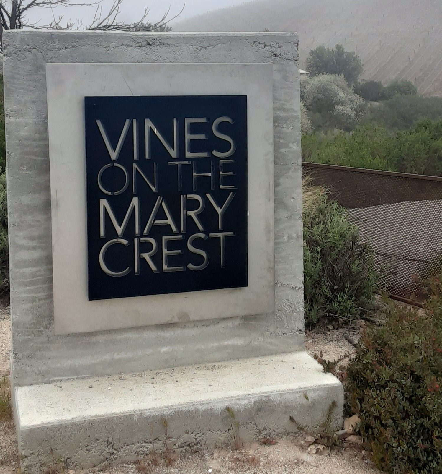 Vines on the Marycrest