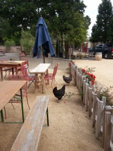 Cowgirl Winery - Chickens