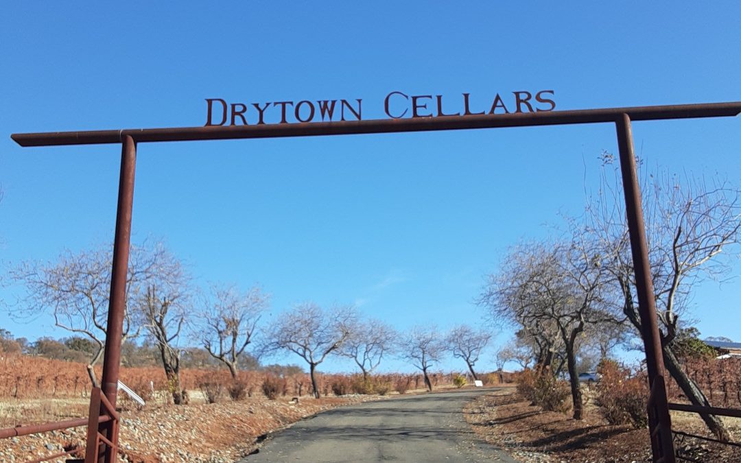 Drytown Cellars